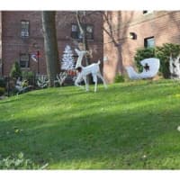 <p>An apartment at 30 Ehrbar Ave. in Mount Vernon is open for viewing on Sunday, Dec. 21.</p>
