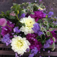 <p>All sorts of flowers are grown in the garden and arrangements offered.</p>