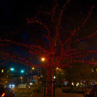 <p>Danbury&#x27;s First Night event too, place amid a sea of twinkling lights.</p>