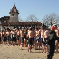 <p>Rye&#x27;s Oakland Beach saw a record number of participants New Year&#x27;s Day.</p>
