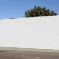 <p>Before: This New Rochelle wall will soon be a sea of color. </p>