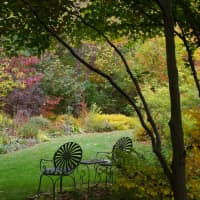 <p>The talk will focus on using biodiversity in home garden and community landscapes. </p>