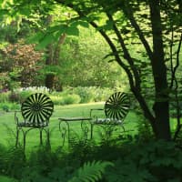 <p>The talk will be an understanding of living layers in nature and relational biodiversity can be put to practical use in making and maintaining both home gardens and community landscapes.</p>