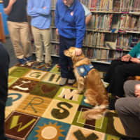 <p>Eighth graders at The Chapel School enjoy meeting Maggie, a golden retriever who interacts with people at schools, churches, disaster response situations and other events. </p>