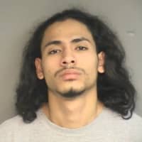 <p>Kenny Castillo, 21, of Hillandale Avenue is charged in connection with vehicle burglaries.</p>