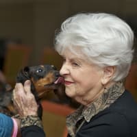 <p>Nina Ravden gets a hello kiss from Penny the dachshund at the Watermark in Bridgeport.</p>