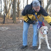 <p>Alan Guber, of New Rochelle, with Callie, 13 years old.</p>