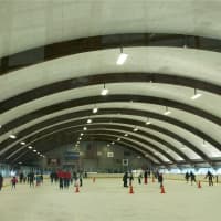 <p>The E.J. Murray Skating Center in Yonkers.</p>