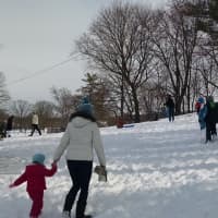 <p>Dozens of youngsters took advantage of the snow day Tuesday by sledding at Flint Park.</p>