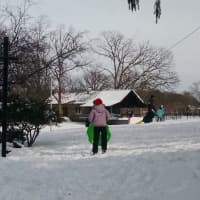 <p>Sledding on Flint Park hill has been a tradition in Larchmont for generations.</p>
