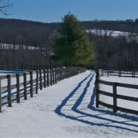 <p>Wooden fences stretch out everywhere in North Salem.</p>