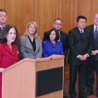 <p>Rep, Gail Lavielle speaks at press conference.</p>
