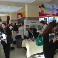 <p>The commons at Fox Lane High School hosted tables for an array of environmental and sustainability groups for Bedford 2020&#x27;s summit.</p>