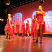 <p>Members of the Yorktown Dance Company perform in productions.</p>