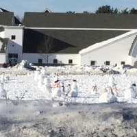 <p>Third grade students at Samuel Staples Elementary School in Easton built 100 snowmen to reflect the 100 days of school.</p>