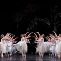 <p>&quot;Swan Lake&quot; is among those scheduled for World Stage on screen: </p>