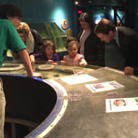 <p>Himes and Davis visit one of the touch tanks at the Maritime Aquarium.</p>