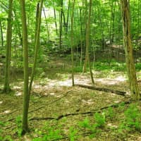 <p>Westchester Land Trust and Hudson Highlands Land Trust will protect the Peekskill Hollow Brook and rename it the O&#x27;Connell Boulder Field Preserve.</p>