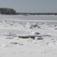 <p>The coastal waters are frozen at Greenwich Point Park. </p>