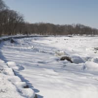 <p>Snow and ice cover the sandy beaches at Greenwich Point Park.</p>