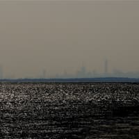 <p>The skyline of New York City can be seen in the distance from Greenwich Point Park. </p>