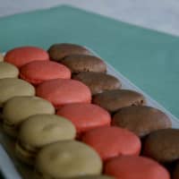 <p>Macaroons at La Panetiere in Rye.</p>