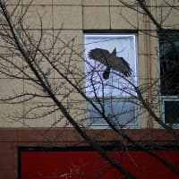 <p>The new Accesible Art: In the Windows installations throughout downtown Danbury, are all about light.</p>