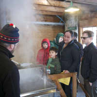 <p>How maple syrup is made.</p>