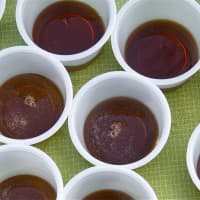 <p>Yummy maple syrup samples.</p>