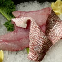 <p>Fresh offerings from Conte&#x27;s Fish Market in Mount Kisco.</p>
