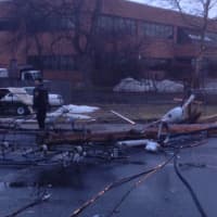 <p>The utility pole was snapped and fell into the street after being hit by a pickup truck.</p>