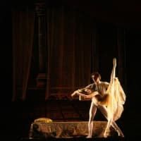 <p>The Ridgefield Playhouse will host a high-definition screening of The Bolshoi Ballet&#x27;s &quot;Romeo and Juliet&quot; on Saturday.</p>