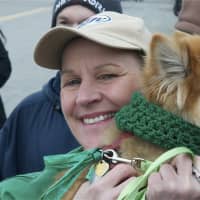 <p>Many parade-goers brought their canine friends.</p>