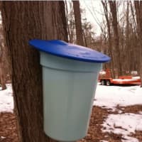 <p>A maple sap bucket at the ready.</p>