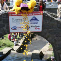 <p>Ducks will travel down stream and give residents an opportunity to win prizes.</p>