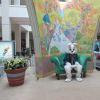 <p>The Easter Bunny at The Westchester Mall in White Plains is free for photos from now through April 4. </p>