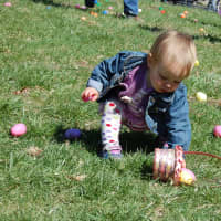 <p>Easter egg hunts are always fun at Stamford Museum &amp; Nature Center.</p>