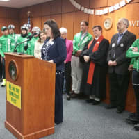 <p>Director of Greenwich&#x27;s YWCA Domestic Abuse Services Suzanne Adam, reads research behind current CT gun law bills.</p>