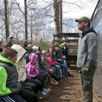 <p>Guests listen to Operations Manager Spencer Wilhelm talk about wolves.</p>