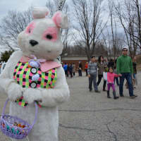 <p>An Easter bunny pays a visit to the Chappaqua Fire Department&#x27;s egg hunt.</p>