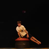 <p>Award-winning CT State gymnast Matteo Rathgeber wows the audience with his performance on a pommel horse</p>