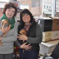 <p>Laura Kelly and Theresa Andre holding puppies from Pet Rescue</p>