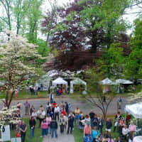<p>Greenfield Hill Congregational Church in Fairfield will host the annual Dogwood Festival.</p>