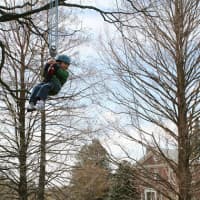 <p>Kids will get the chance to get a view of Wave Hill from a tree.</p>