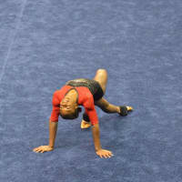 <p>Carlee Reeid performs on the floor exercise during a competition in St. Louis.</p>