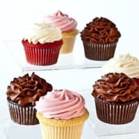 <p>Cupcakes from from Cathy&#x27;s Biscotti</p>