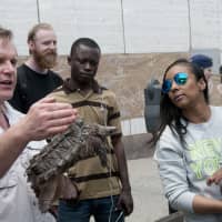 <p>White Plains resident Nicole Filder and her son Chaz learn about snapping turtles.</p>