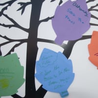 <p>People wrote their pledge to help the environment on paper leafs. </p>