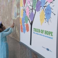 <p>Ananya Shah, 4, and her brother, Advait, 2, went green with their drawings. </p>