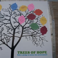 <p>People wrote their pledge to help the environment on paper leafs. </p>